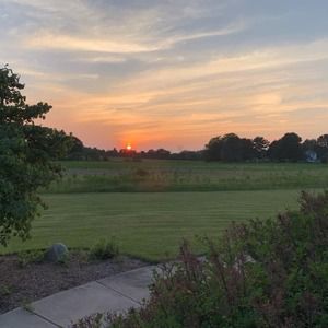 Meet your Posher, Lucy